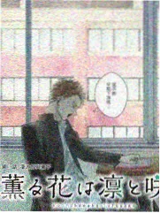 金桔影院 寻梦环游记 经典动画